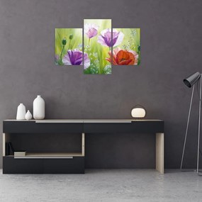 Tablou - Maci (90x60 cm)