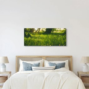 Tablou cu natura - lunca (120x50 cm)