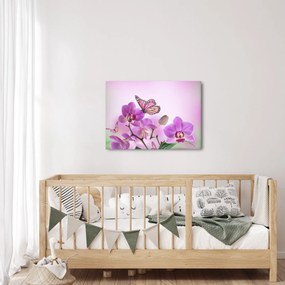 Tablou - Fluture pe flori de orhidee, liliac (70x50 cm)