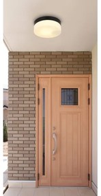 Corp de iluminat pentru baie VRANOS 1xE27/60W/230V d. 18,4 cm IP44 Globo 32111B