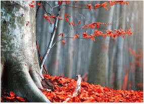 Tablou - Toamna (70x50 cm)