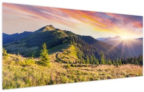 Tablou - Peisaj forestier (120x50 cm)