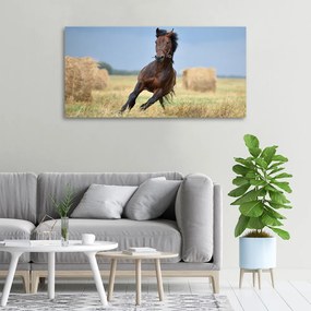 Tablou canvas Un cal în galop