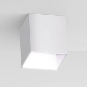 CUBO