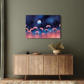 Tablou cu păpădii cu fluture albastru (90x60 cm)