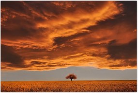 Tablou cu nori (90x60 cm)