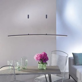 Lustră LED pe cablu dimabilă JANINA LED/27W/230V Paul Neuhaus 2530-13