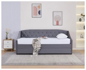 Pat extensibil 90 cm Asesorar (gri) . 1116214
