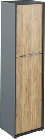 Dulap RIOMA NEW TYP 08, gri grafit/stejar artisan, DTD laminat, cu 2 u