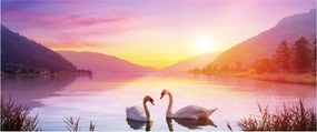 Tablou - Lebăde îndrăgostite (120x50 cm)