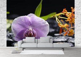 Fototapet. Orhidee in Mov. Art.01251