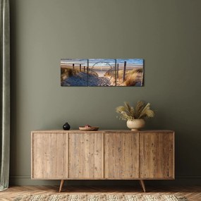 Tablou - Drum spre plaja din Marea Nordului, Țările de Jos (cu ceas) (90x30 cm)