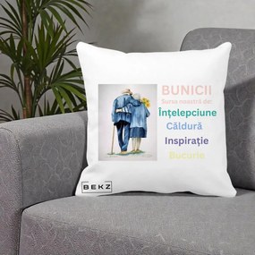 Cadou pentru Bunici - Perna Personalizata Bunicii Sursa Intelepciune Caldura Acuarela, 40x40 cm, Alba Mata, Husa Detasabila, Perna Inclusa, BEKZ®