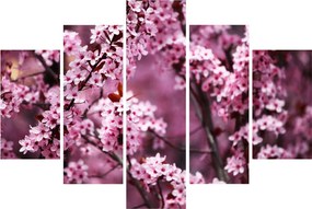 Tablou - Sakura roz (150x105 cm)