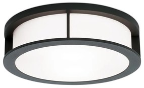 Plafoniera de exterior, protectie IP44, Henry antracit