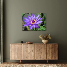 Tablou - Floare violet (70x50 cm)