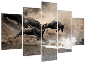 Tablou - Turmă de gnu (150x105 cm)