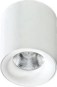 Azzardo AZ2845 - Plafonieră LED MANE, 10W, 230V