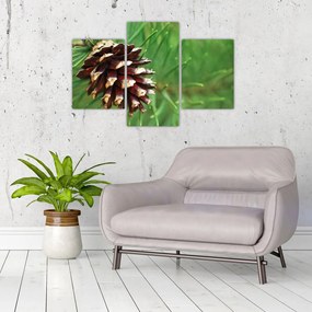 Tablou cu con (90x60 cm)