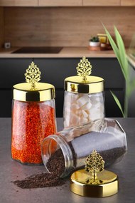 Set cutii de depozitare (3 piese), Hermia, Culoare: Transparent
Auriu