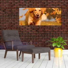 Tablou - Golden Retriever (120x50 cm)