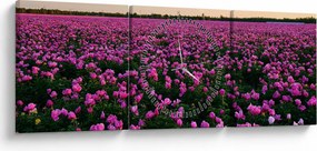 Tablou - Pajiștea cu lalele violet (cu ceas) (90x30 cm)