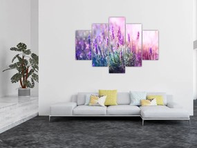 Tablou - Lavandă în strălucirea soarelui (150x105 cm)