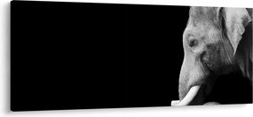 Tablou - Elefant (120x50 cm)