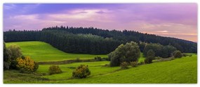 Tablou cu lunca (120x50 cm)