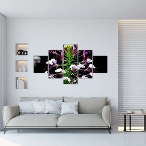 Tablou cu floare (125x70 cm), în 40 de alte dimensiuni noi