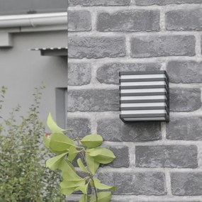 Aplica LED exterior MAXWELL 10W 230V IP54 antracit