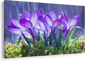 Tablou cuflori în ploaie (90x60 cm)