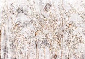 Fototapet - Iriși (147x102 cm)