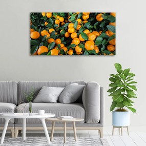 Tablouri tipărite pe pânză Mandarine