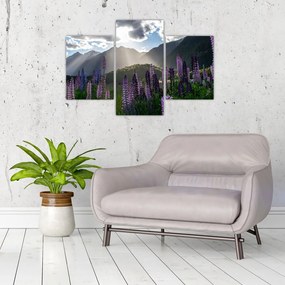 Tablou - scenariu cu flori de Lupin (90x60 cm)