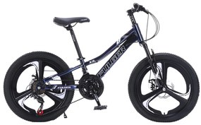 Bicicleta Caraiman, roti 20 inch, cadru otel, frane pe disc, cameleon, BC02