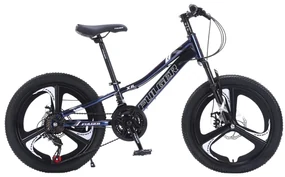 Bicicleta Fulger, roti 20 inch, cadru otel, frane pe disc, cameleon, BC02
