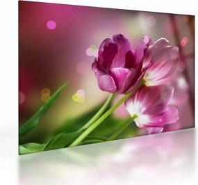 Tablou pe sticlă cu lalele roz (70x50 cm)