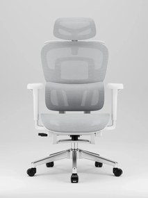 SIENA E15 Executive – Scaun Ergonomic cu Suport Lombar Reglabil pe Înălțime, Tetieră Reglabilă, Cotiere 3D, Șezut Extensibil, Reclinare 135°, Umeraș Integrat, Suport pentru Picioare și Bază Metalică, Mesh, Gri