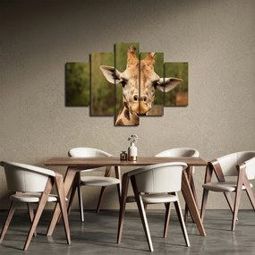 Tablou girafe (150x105 cm)