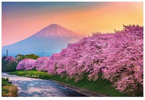 Fototapet Japonia minunată