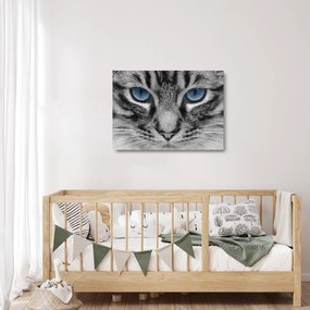 Tablou pe sticlă cu pisica (70x50 cm)