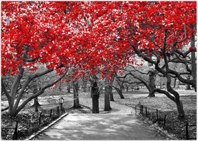 Tablou - Copaci roșii, Central Park, New York (70x50 cm)