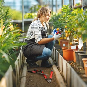 Outsunny Lot de 3 foarfece de grădină set de tăiere pentru grădinărit ferăstrău de tăiat ramuri 65cm foarfecă 51,5cm, foarfecă 20cm roșu | Aosom Romania