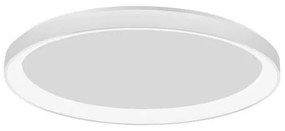 Lustra LED moderna aplicata design slim 58cm PERTINO alba NVL-9853675