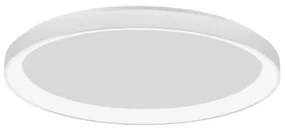 Lustra LED moderna aplicata design slim 58cm PERTINO alba NVL-9853675