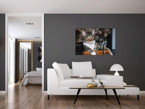 Tablou cu pisica (90x60 cm)