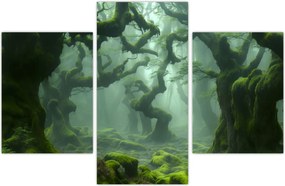 Tablou - O pădure acoperită de mușchi (90x60 cm)