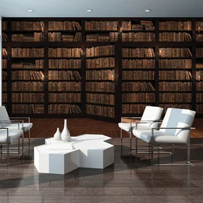 Fototapet - Biblioteca plină de cărți (152,5x104 cm)