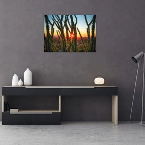 Tablou - Plante (70x50 cm)